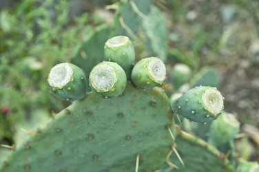 Similar image 309856