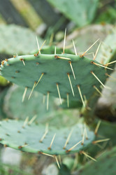 Similar image 309857