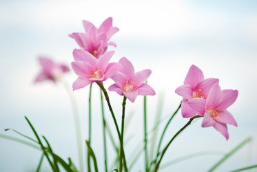 Similar image 309886