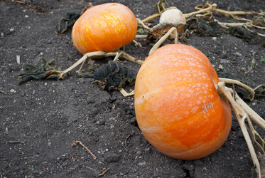 Similar image 309888