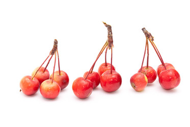 Similar image 309892