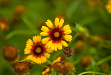 Similar image 309893