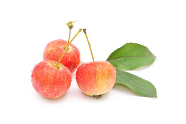 Similar image 309899