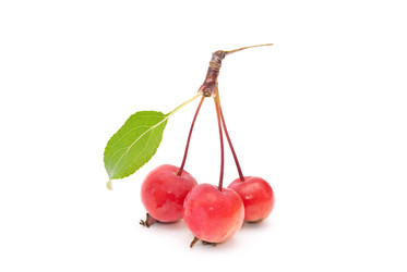 Similar image 309901