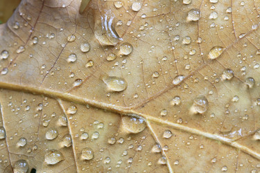 Similar image 309924