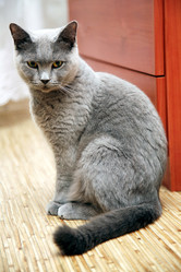 Similar image 309935