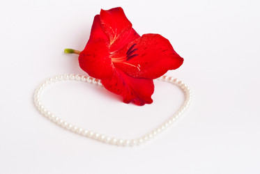 Similar image 309945