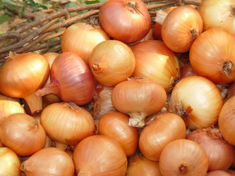 Similar image 309967