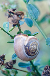 Similar image 309980