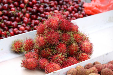 Similar image 309981