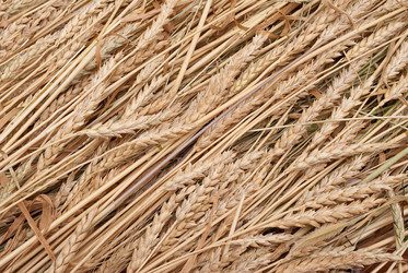 Similar image 309984