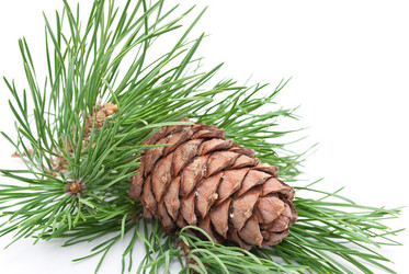 Similar image 309987