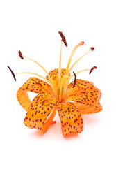 Similar image 309988