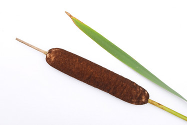 Similar image 309992