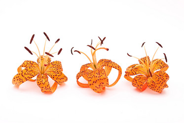 Similar image 310022