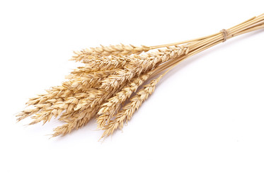 Similar image 310023