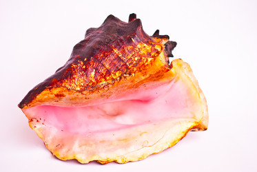 Similar image 310040