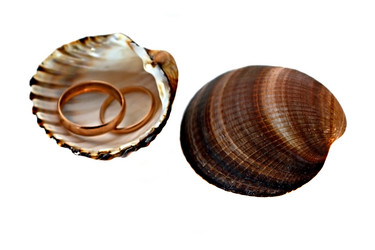 Similar image 310041