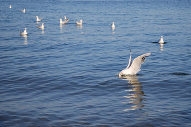 Similar image 310042