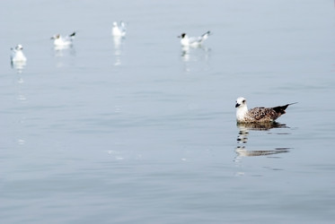 Similar image 310045