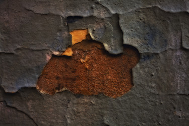 Similar image 310062