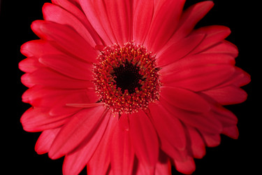 Similar image 310073