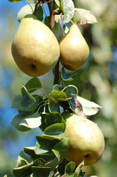 Similar image 310075