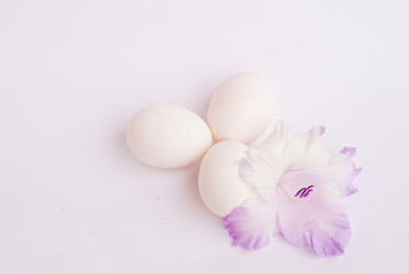 Similar image 310082