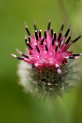 Similar image 310093