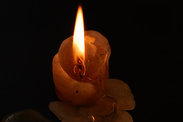 Similar image 310097