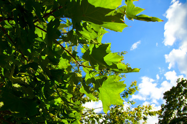 Similar image 310099