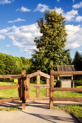 Similar image 310106