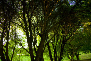 Similar image 310113