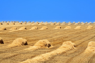 Similar image 310124