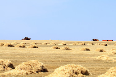 Similar image 310125