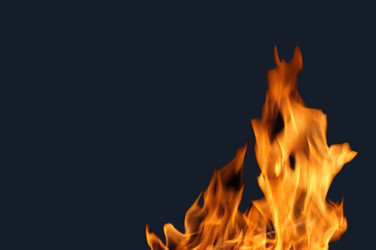 Similar image 310162