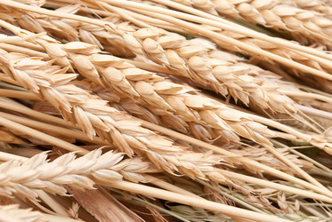 Similar image 310176