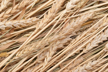 Similar image 310177