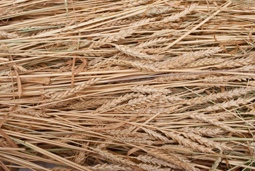 Similar image 310178