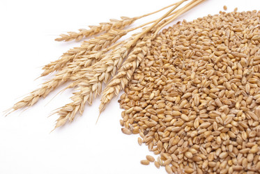 Similar image 310181