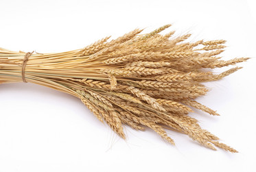 Similar image 310183