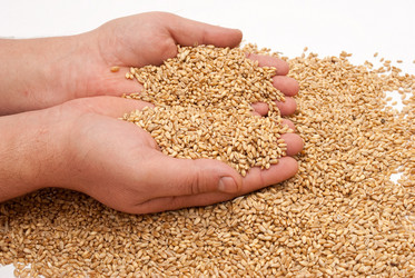 Similar image 310187