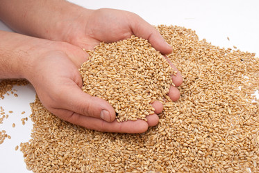 Similar image 310188