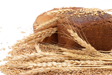 Similar image 310199