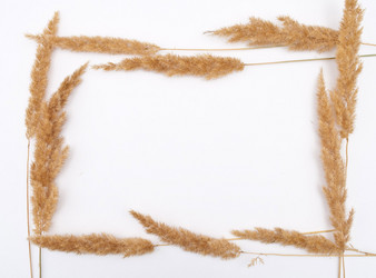 Similar image 310202