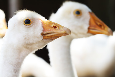 Similar image 310210