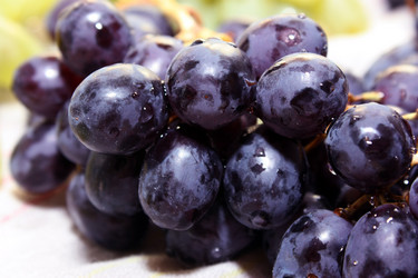 Similar image 310218