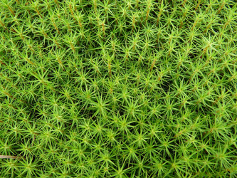 Similar image 310224