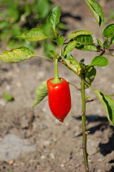 Similar image 310229