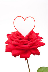 Similar image 310238